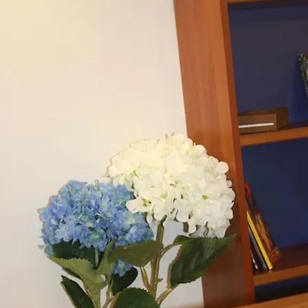 شقة Nautilus نابولي