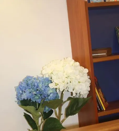 Apartamento Nautilus Nápoles